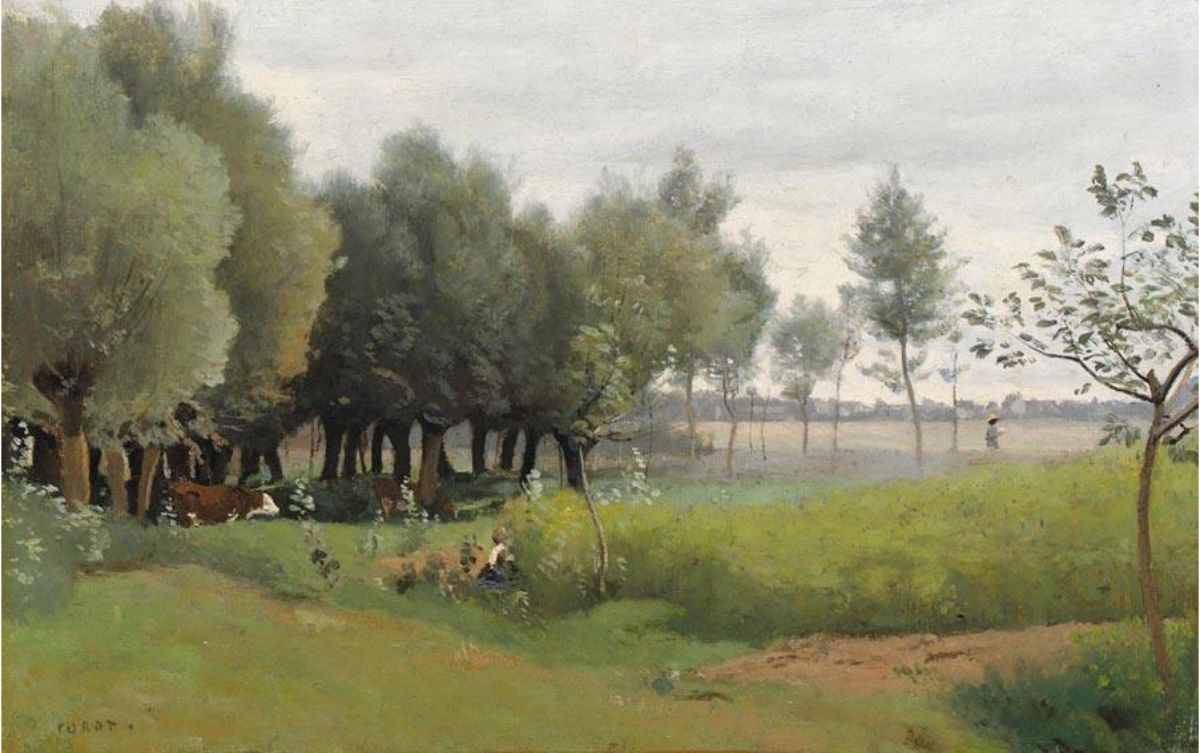 Saulaie Avant La Fenaison 