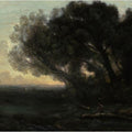 Souvenir D'Italie, Vallee Aux Grands Arbres Penches 