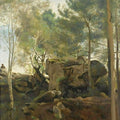 Fontainebleau. Pins Et Bouleaux Dans Les Rochers 