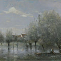 Inondation Dans Une Saulaie 