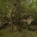 In the Forest of Fontainebleau 