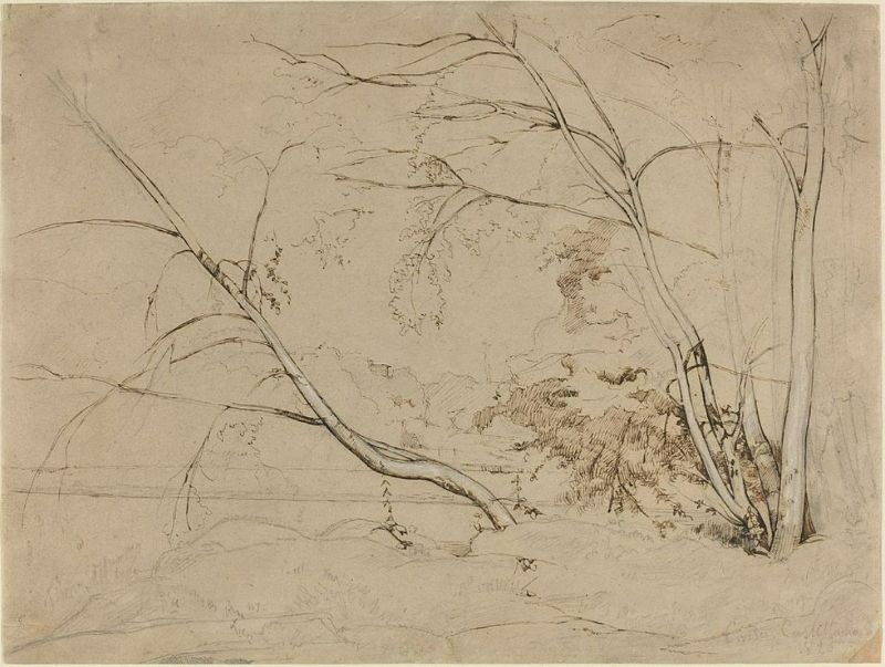 Clump of Trees at Civita Castellana 
