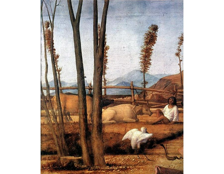 Madonna of the Meadow (detail)
