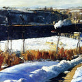 Winter Afternoon 