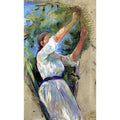 Girl gathering cherries 1891