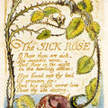 The Sick Rose, from Songs of Innocence 