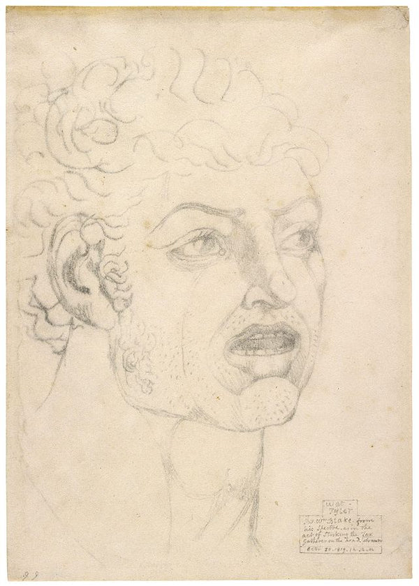 Visionary head, 1820 