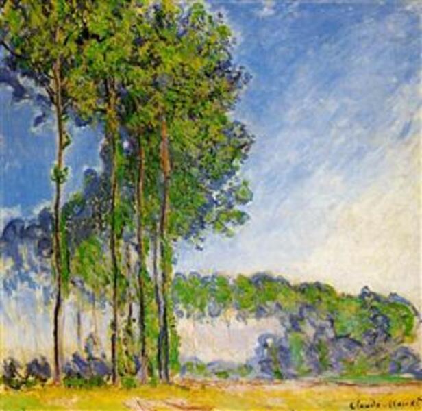 Poplars View From The Marsh 