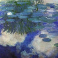 Water Lilies53 