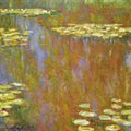 Water Lilies25 