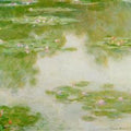 Water-Lilies 3 