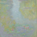 Water Lilies22 