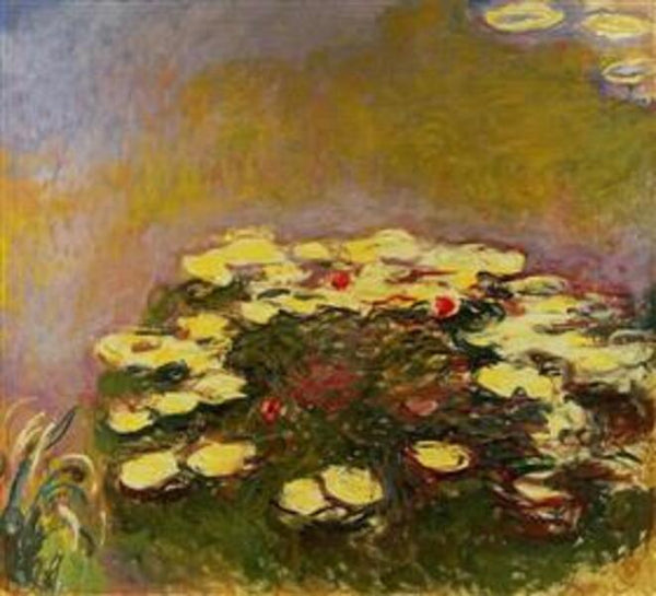 Water Lilies3 