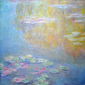 Water Lilies39 