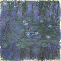 Water Lilies42 
