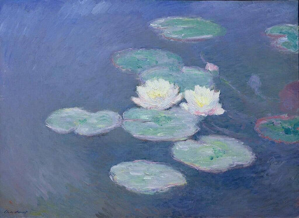 Nympheas (Waterlilies) 