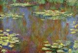Water Lilies31 artwork preview