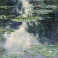 Water Lilies15 
