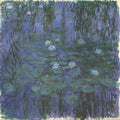 Nymphus bleus 1919 