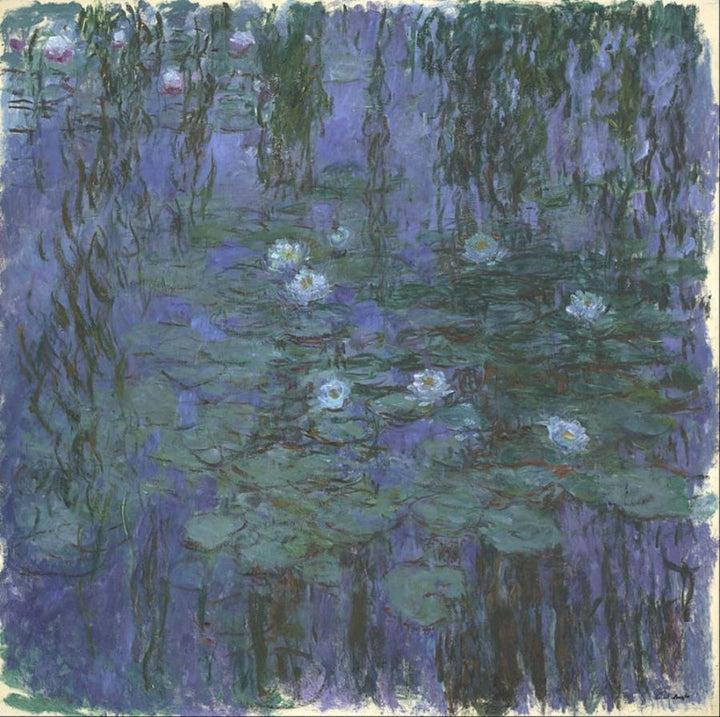 Nymphus bleus 1919 