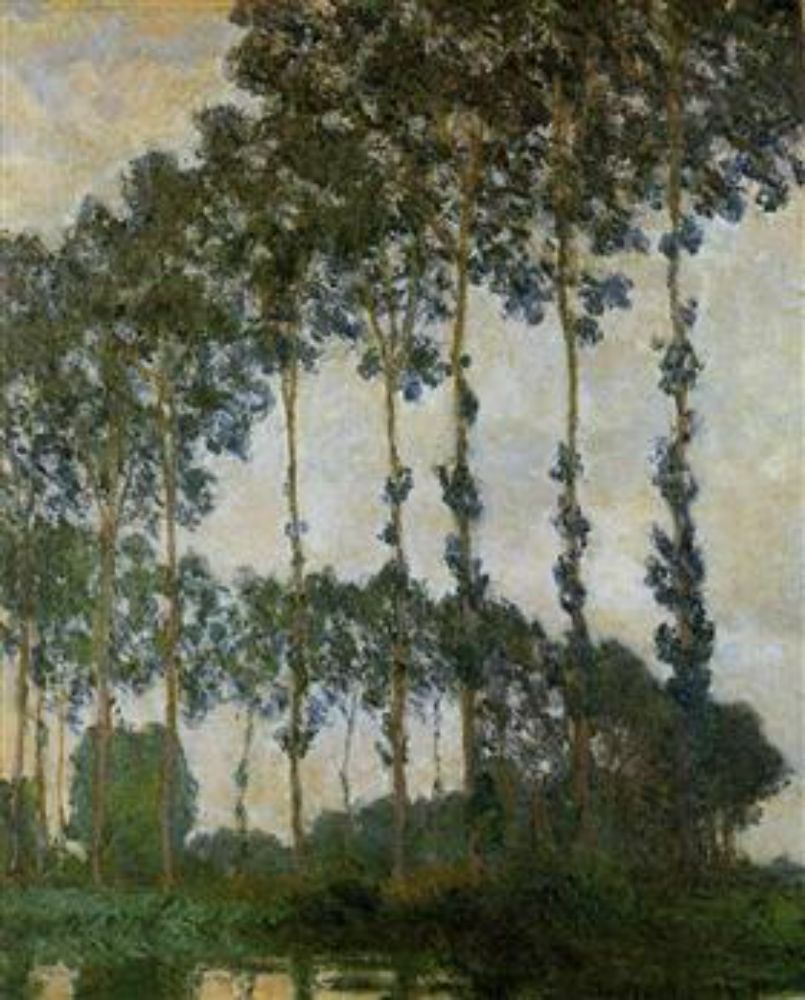 Poplars Near Giverny 