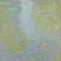 Water-Lilies 22 