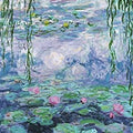 Water-Lilies 36 