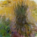 Water-Lilies 34 