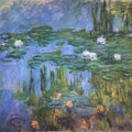 Water-Lilies 28 