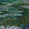 Nympheas 7 