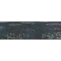 Water Lilies 45 