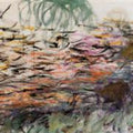 Water Lilies 52 