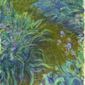 Path through the Irises 02 