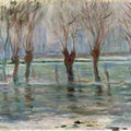 Flood Waters 