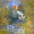 Geese in the creek 