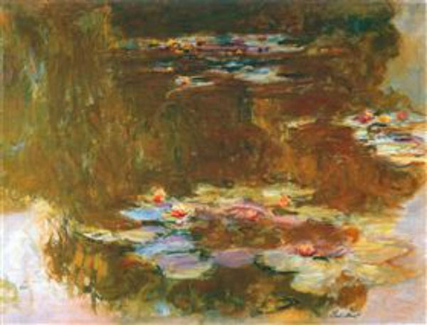 Water Lily Pond 3 