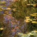 The Water Lily Pond8 