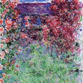 The House Among The Roses2 