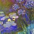 Water Lilies And Agapanthus59 