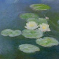 Water-Lilies, Evening Effect 