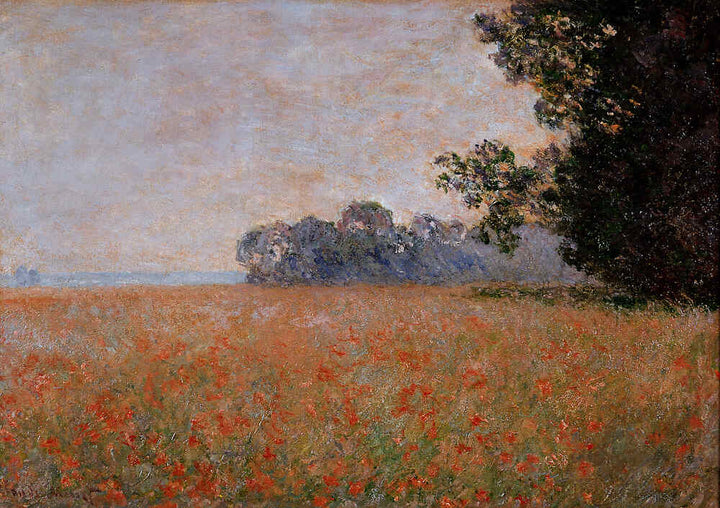 Oat Field 