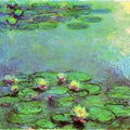 Water Lilies26 