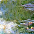 The Water Lily Pond11 