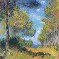 Allee de sapins AA  Varengeville 