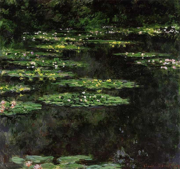 Water-Lilies V 