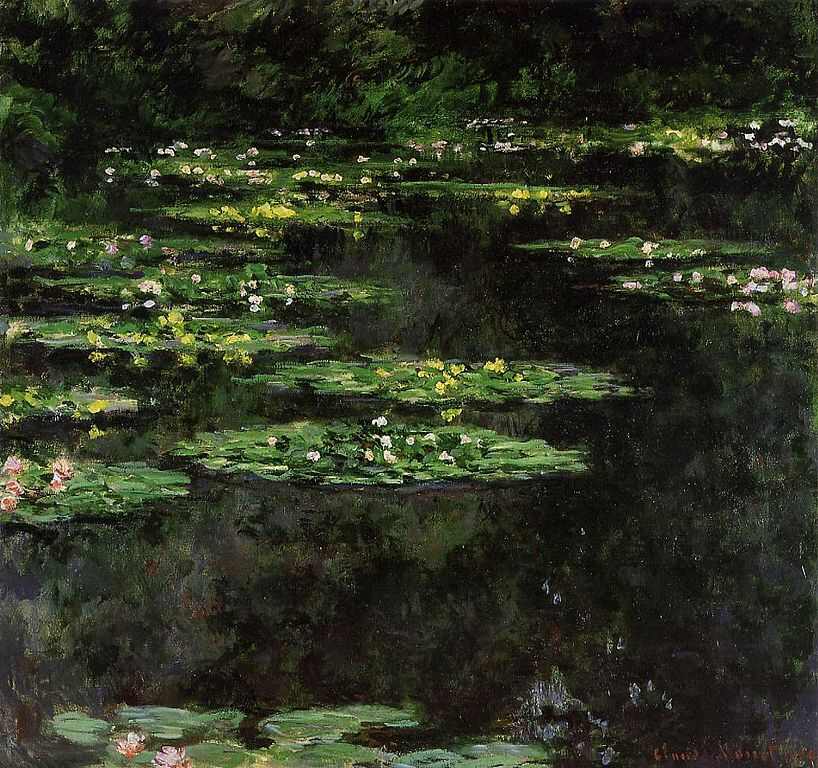 Water-Lilies V 