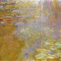 The Water Lily Pond 5 