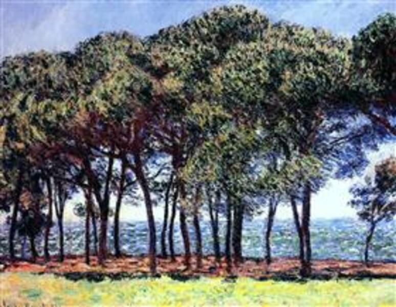 Pine Trees Cap DAntibes 