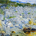 Rocky Beach, Appledore 