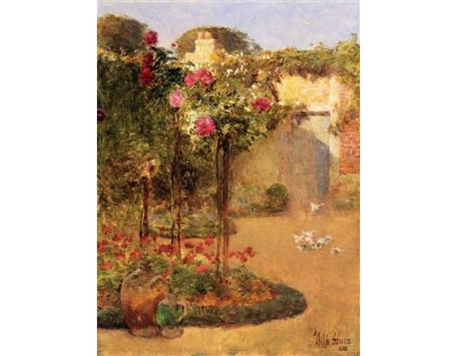 The Rose Garden
